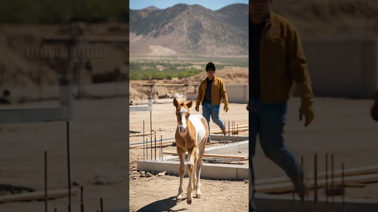 Construction Workers Rescue Horse And Foal From Deadly Accident! #rescue #animals #Wildlife