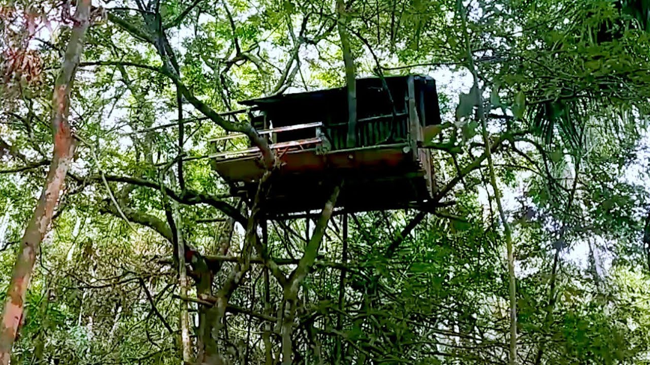camping alone in the forest, building a shelter in a tree