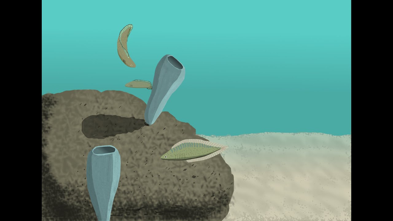 The Cambrian Biosphere