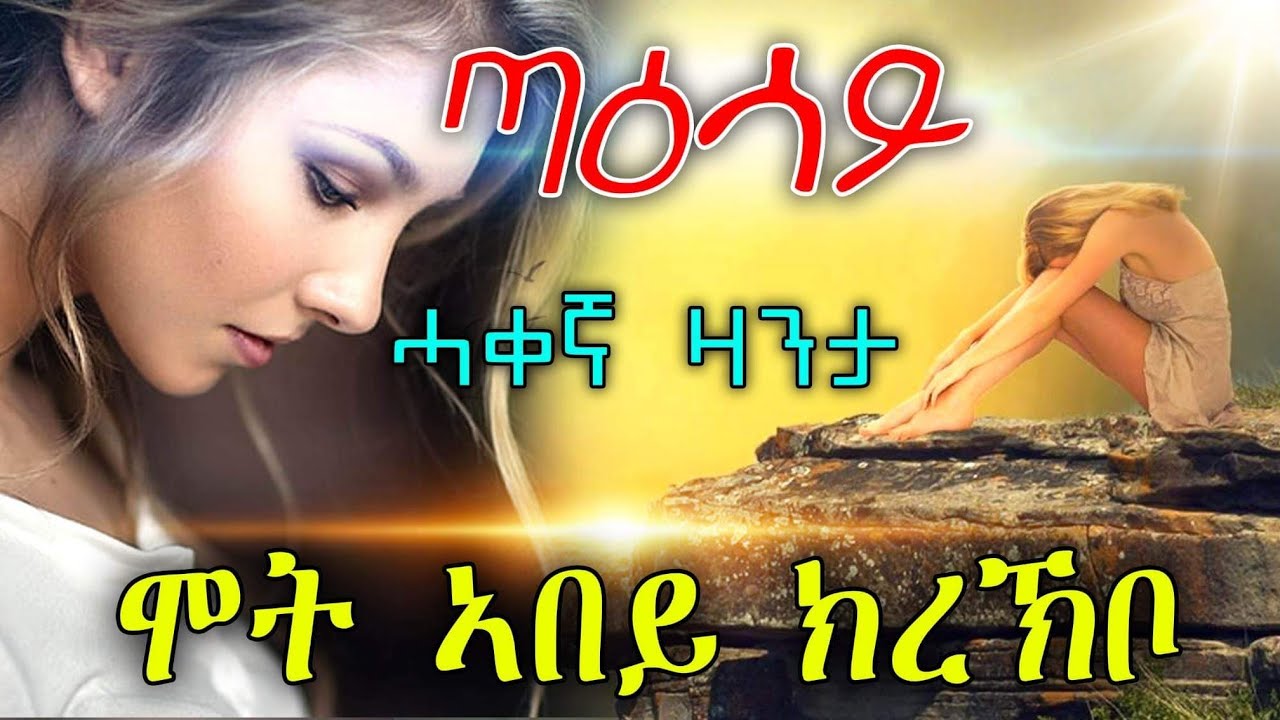 ጣዕሳይ ሓቀኛ ዛንታሞት ኣበይ ክረክቦ