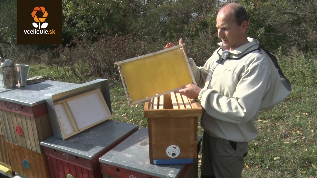 Plemenáč - Včelárstvo Jozef Ľupták