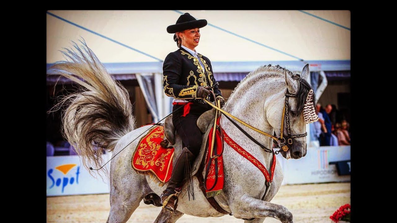 Blanka Satora Show - CSIO ***** Sopot 2017