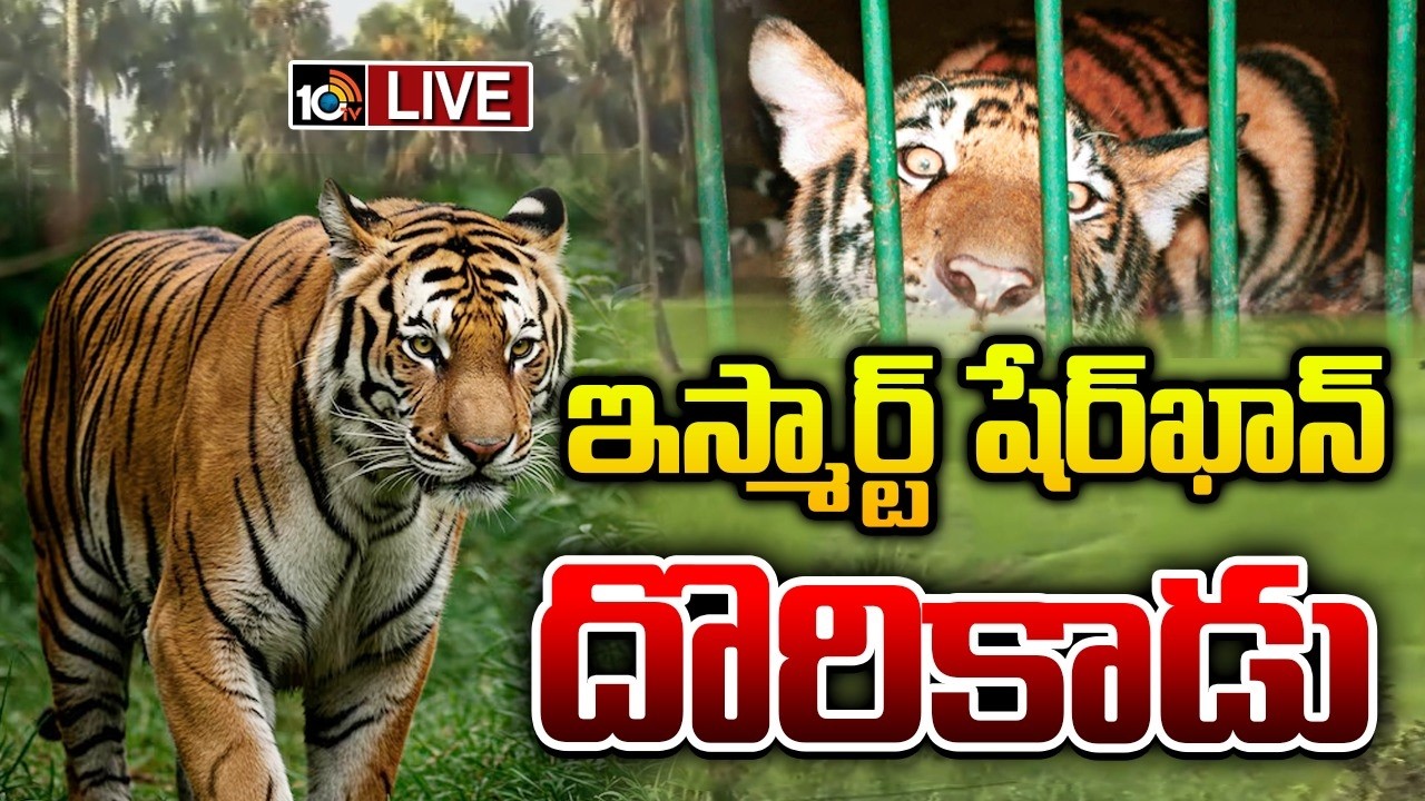 LIVE :తెలివిగా తప్పించుకుంటున్న కూర్మాపురం ఇస్మార్ట్ షేర్&lrm;&lrm;ఖాన్| East Godavari Tiger Operation| 10TV