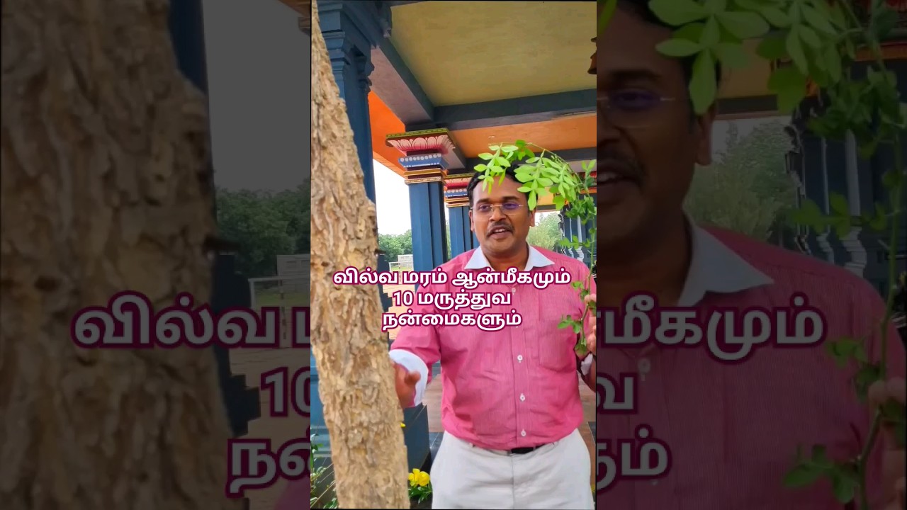 அற்புத வில்வம் அதிசயம் #doctorkarthikeyan #tamil #food