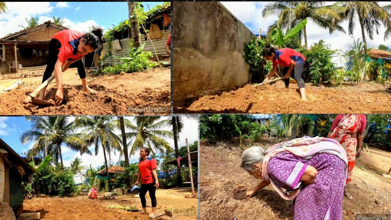 ಅರಿಶಿನ ನೆಟ್ಟಾಯಿತು | ಅಜ್ಜಿನೆ ಮೊದಲು ನೆಟ್ಟಿದ್ದು | ಕಾಡಿಗೆ ಹೋಗೊಣ | ದಗ್೯ ತರ್ಬೇಕಲಾ | #Sonukannadavlogs