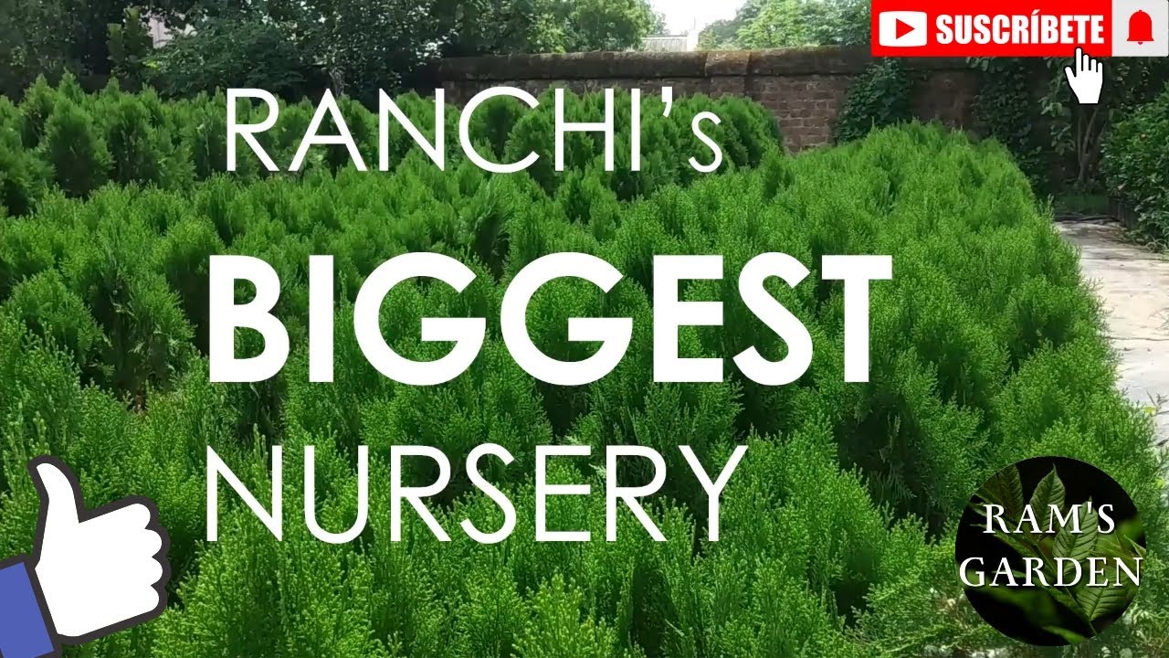 Ranchi's Biggest Nursery