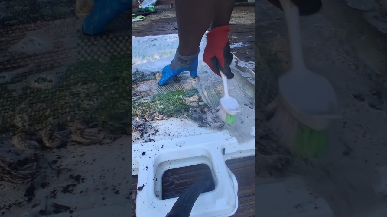 ​Watch These Suds Melt Away Months of Mud and Leaves