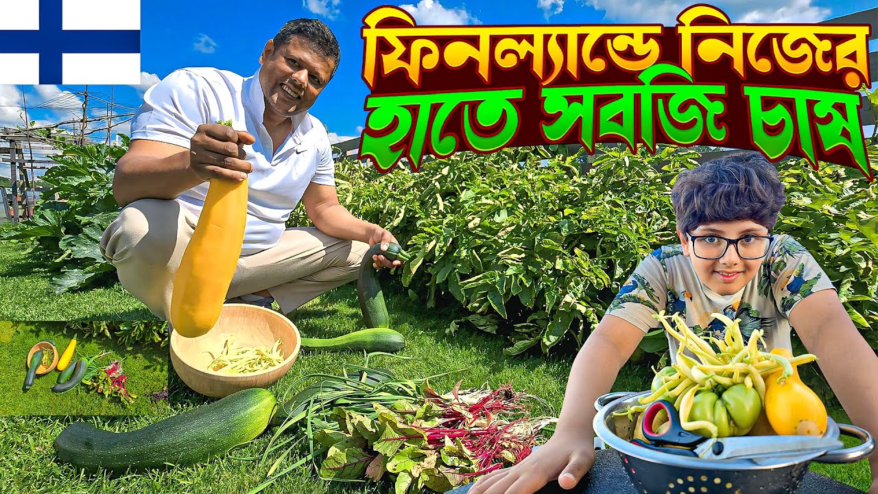 Harvesting & Gardening Tips |  ফিনল্যান্ডে নিজের হাতে সবজি চাষ Fi