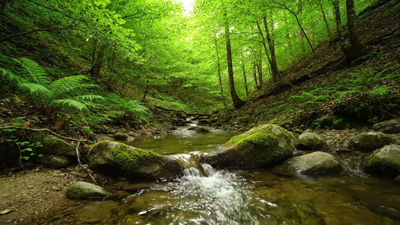 😭 MELT AWAY ANXIETY NOW: 3 HOURS of Deep Relaxation Music That INSTANTLY Soothes Your Soul