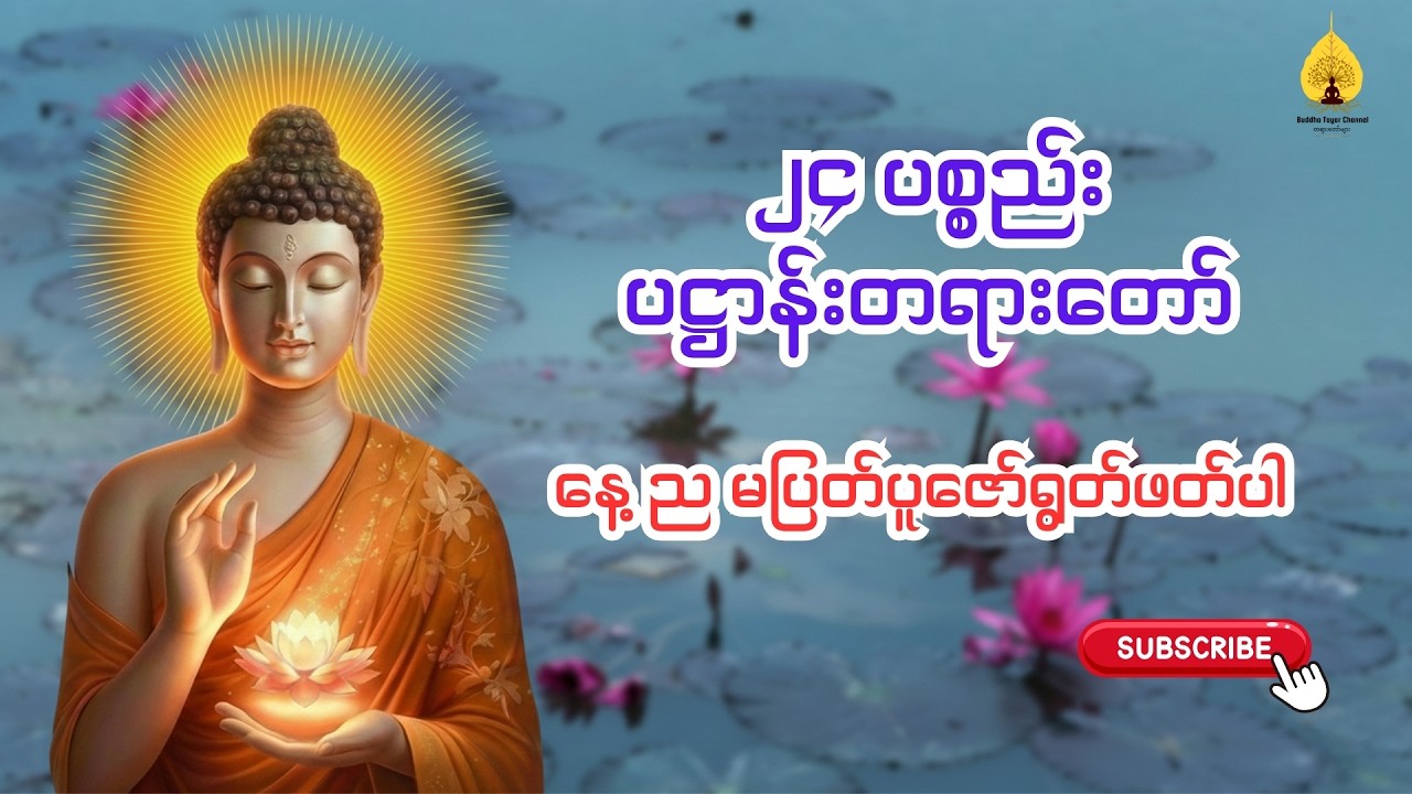 ပဌာန်းပါဠိတော် - ၂၄ ပစ္စည်း