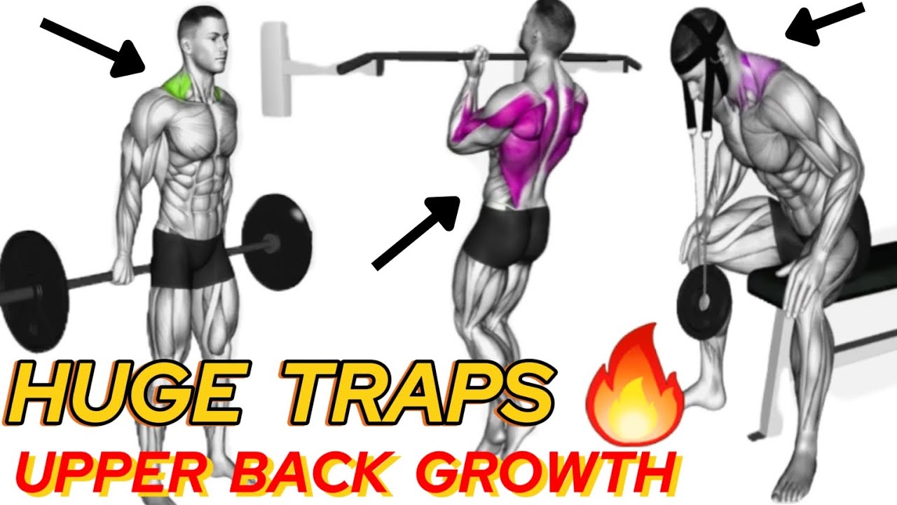 INSANE TRAPS & UPPER BACK WORKOUT 💥 Build Thick Traps Fast | Gym Training