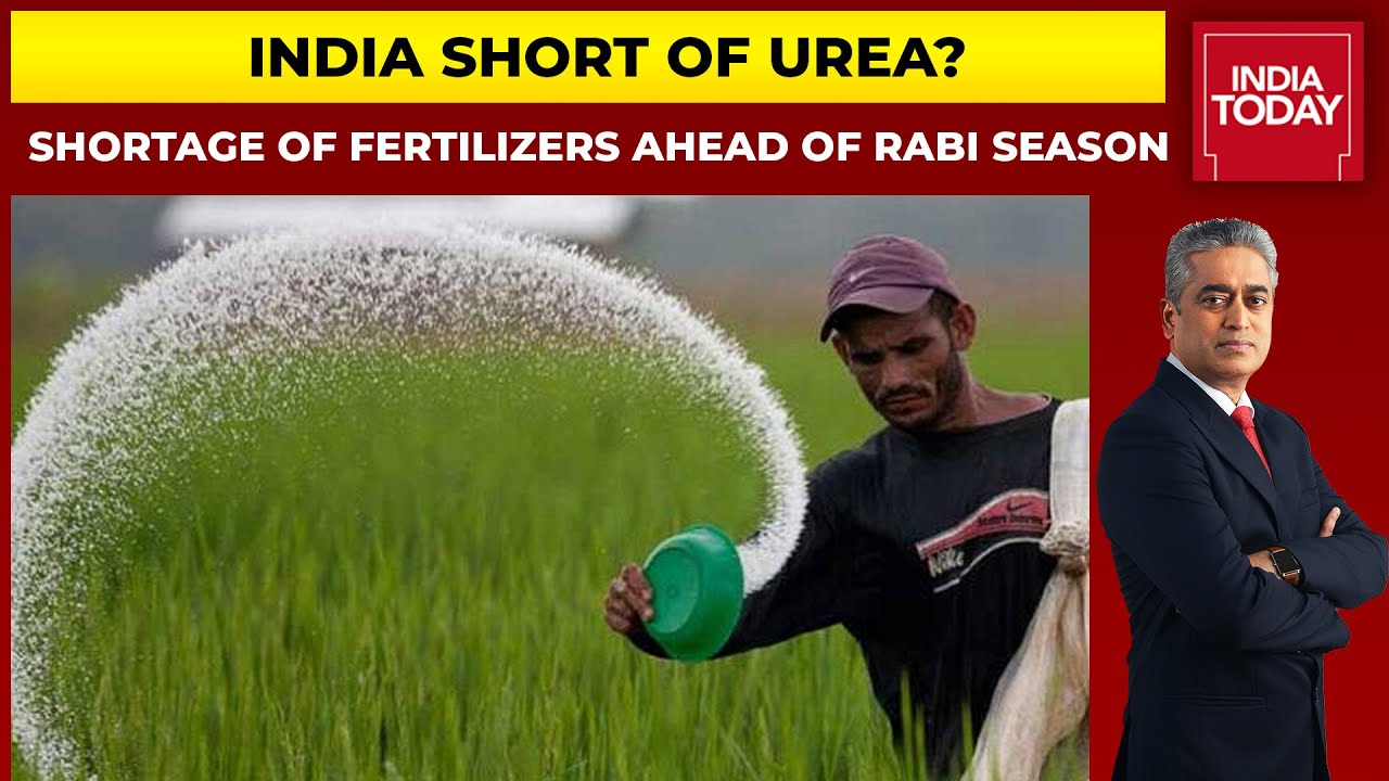 India Short Of Urea? Shortage Of Fertilizers Ahead Of Rabi Season | Ground Report