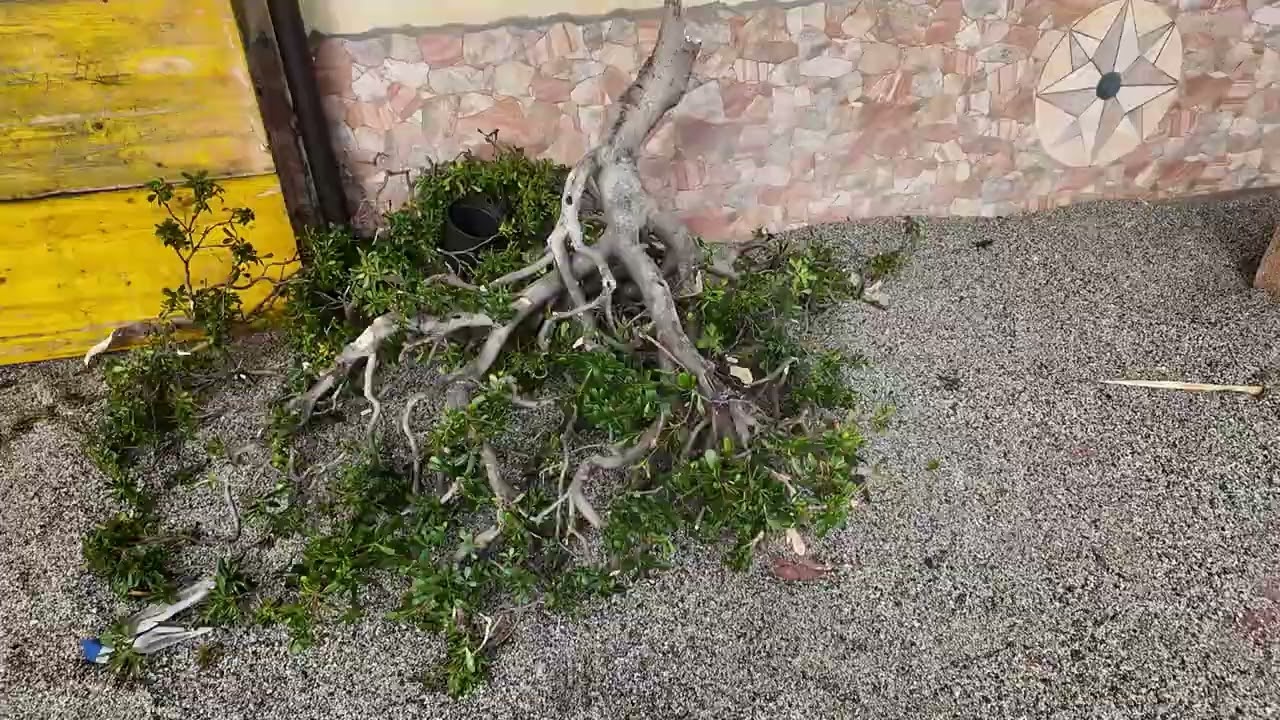 Maltempo in Calabria: sollecito fondo solidarietà