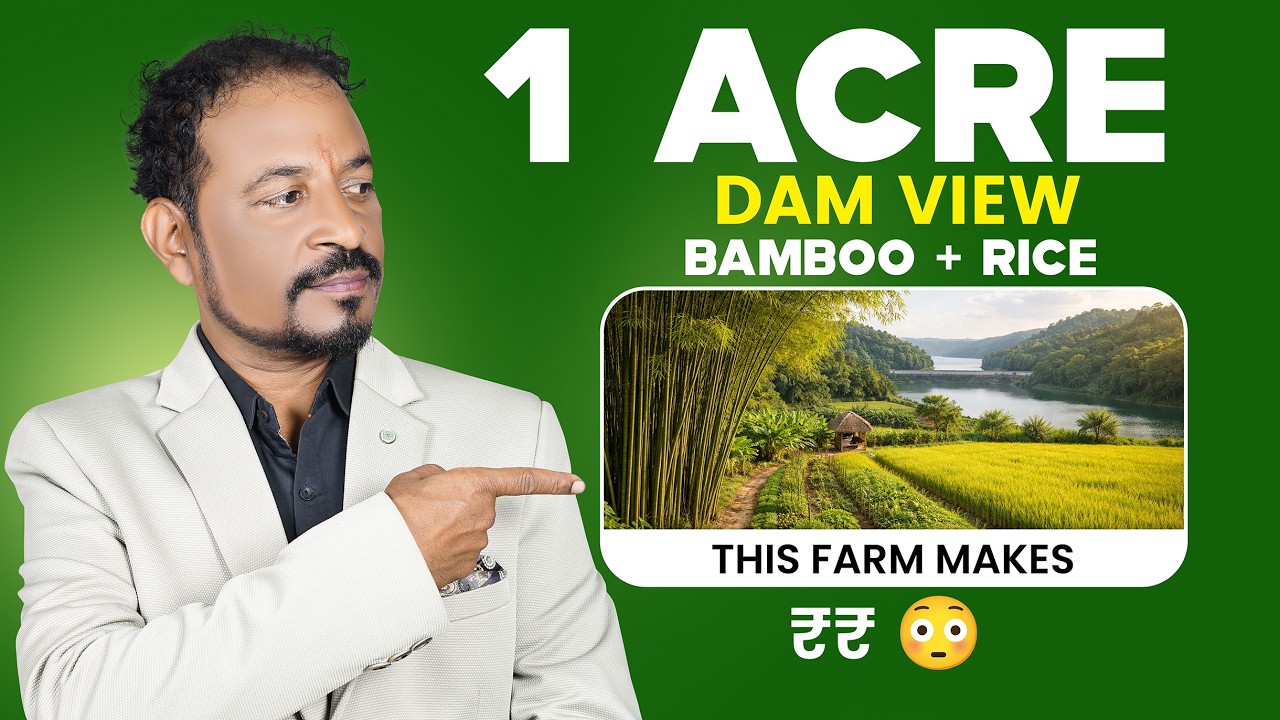 Passive Income Farm😳+ Rice Farming 🌾+ Dam View  | Rare Deal!🔥 #agriculture #plot #bamboo #property