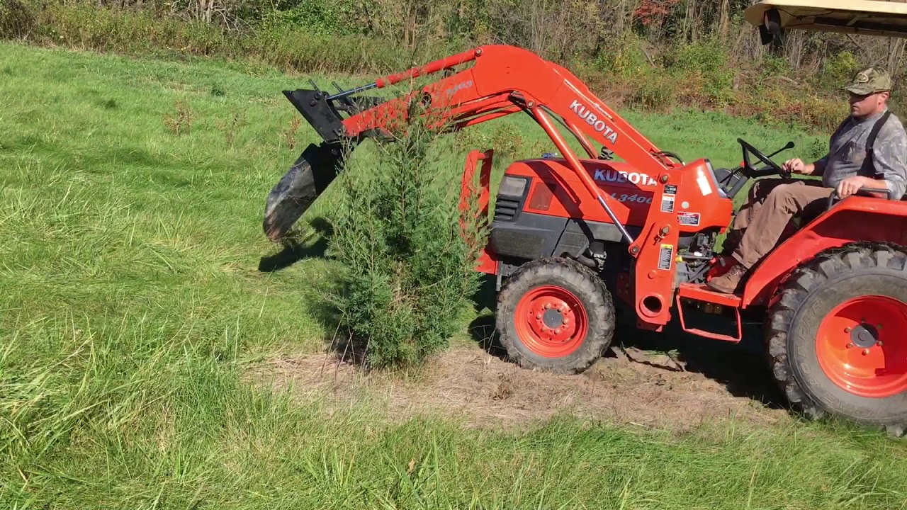 047 transplanting trees with Kubota L3400 and tree scoop