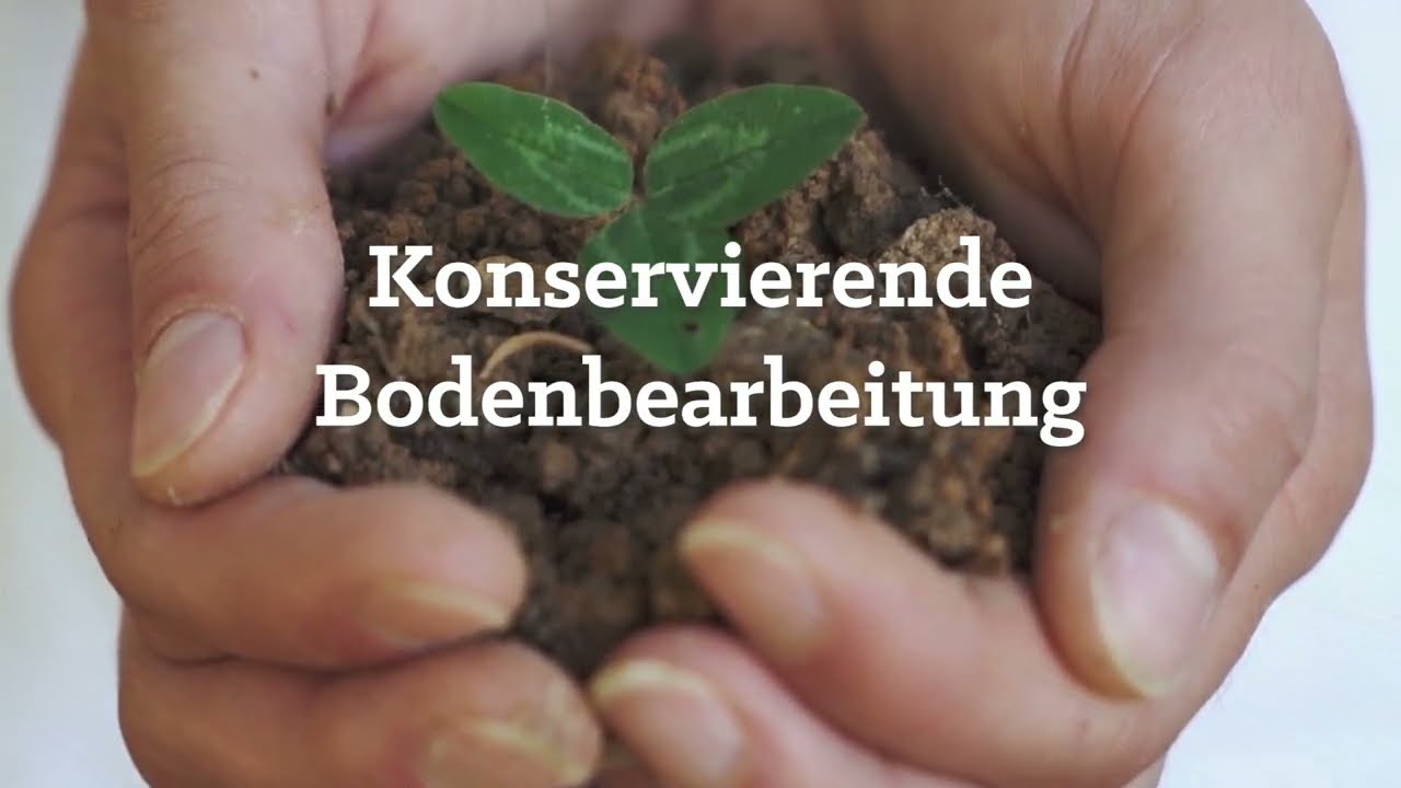 Konservierende Bodenbearbeitung / Bodengesundheit durch regenerative Bewirtschaftung