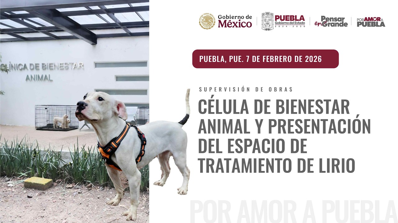 Supervisión de obras: Célula de Bienestar Animal y presentación del Espacio de Tratamiento de Lirio