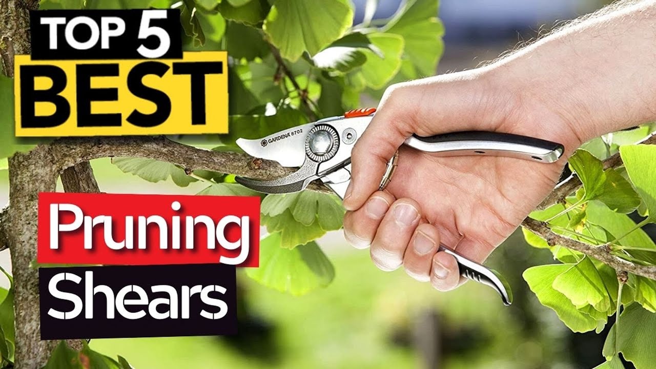 TOP 5 Best Pruning Shears [ Buyer's Guide ]