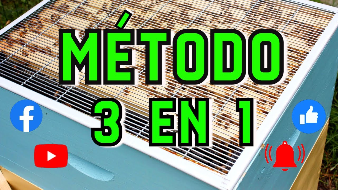 Con Una Colmena / Crea un Apiario 😀