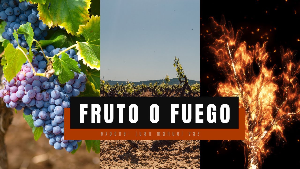 Fruto o Fuego - Juan Manuel Vaz