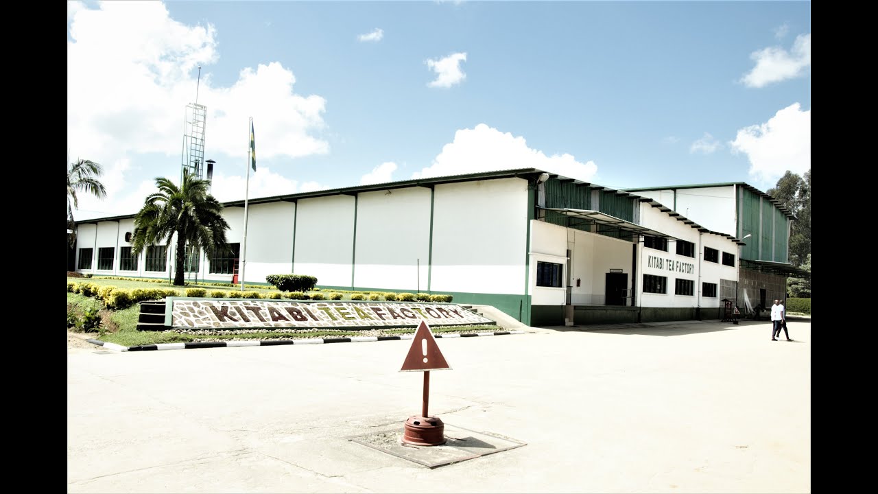 #KITABI TEA FACTORY#VISIT RWANDA#NAEB#MINAGRI#RDB#FERWACOTHE#TAYALI TV