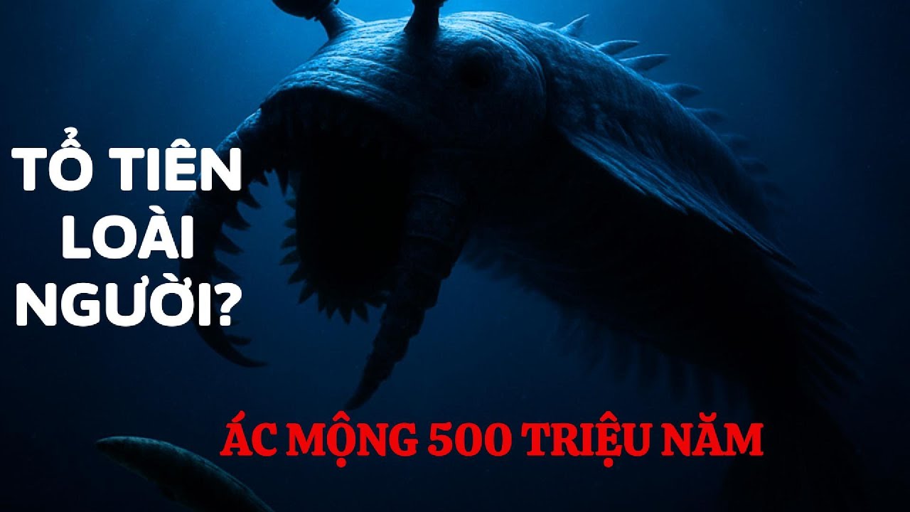 Tại sao loài người là kết quả của một 'vụ thảm sát' 500 triệu năm trước?