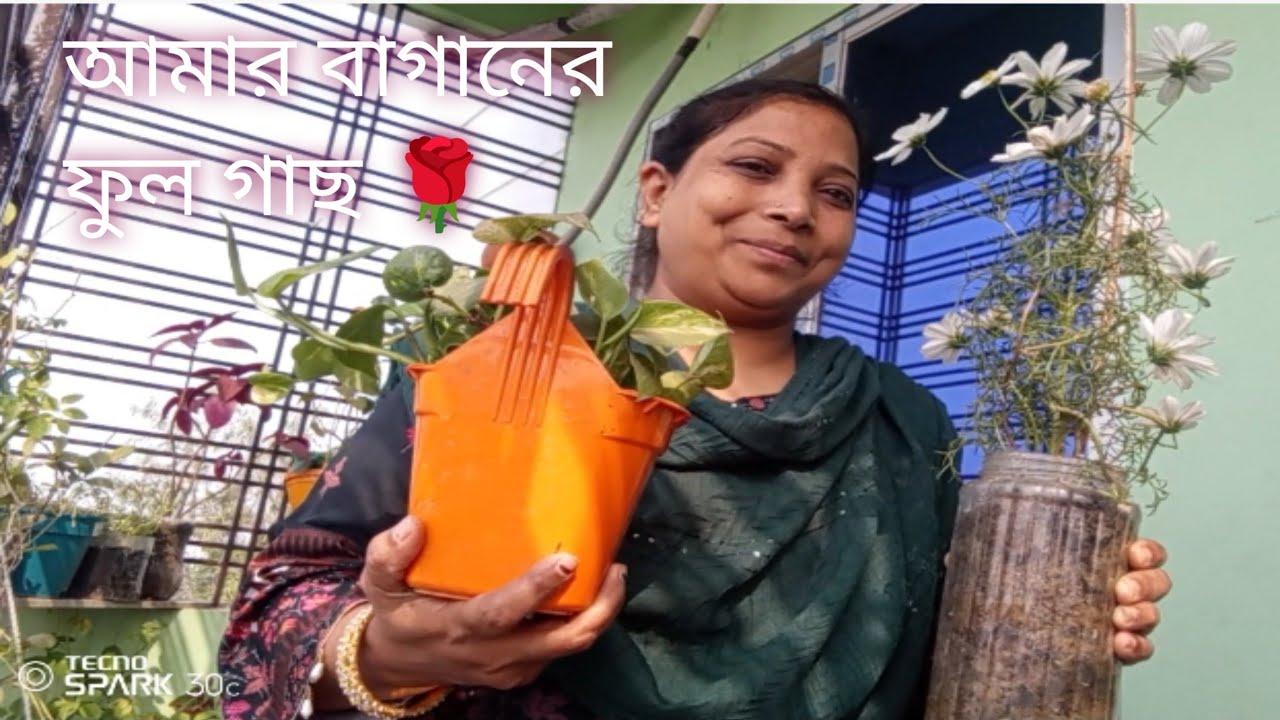 একেরামের মাছগুলো🐬 মরে গেছে আর গ্রামের বাড়িতে গিয়েছি গাছগুলো 🌹সব মরে গিয়েছে 