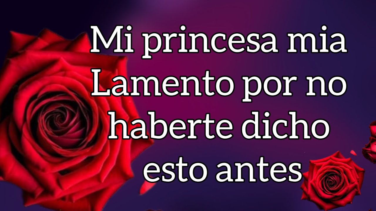 Mi princesa mia Lamento por no haberte dicho esto antes querida espero que no sea muy tarde escúcha