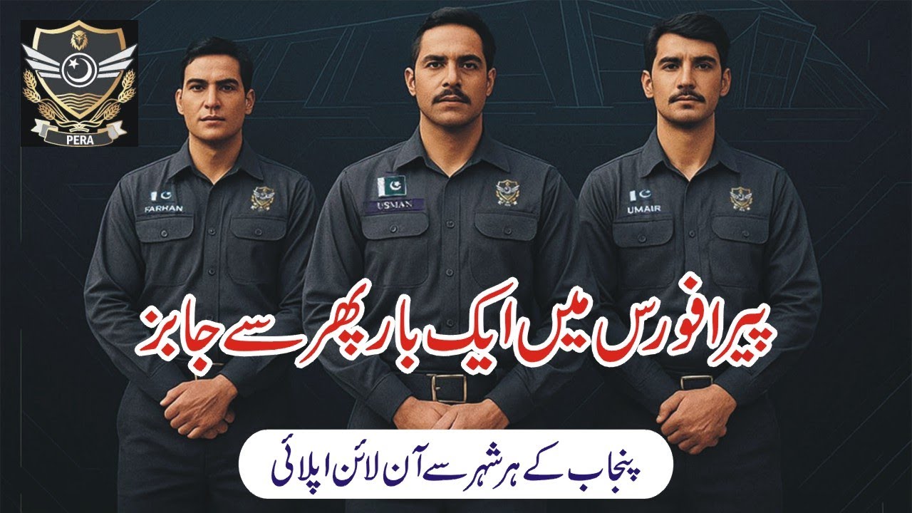 Pera Force Jobs 2026 System Support Officer - Punjab Enforcement & Regulatory Authority Jobs Apply
