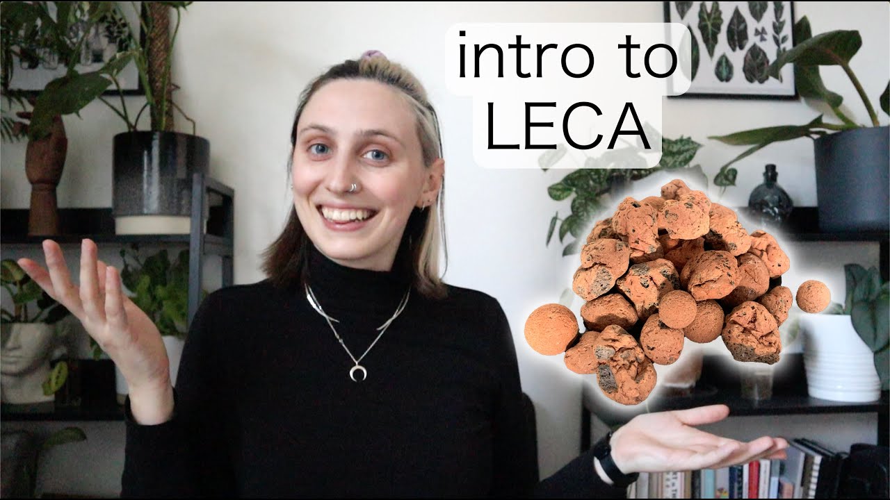 INTRO TO LECA | Pros & Cons and Converting from Soil