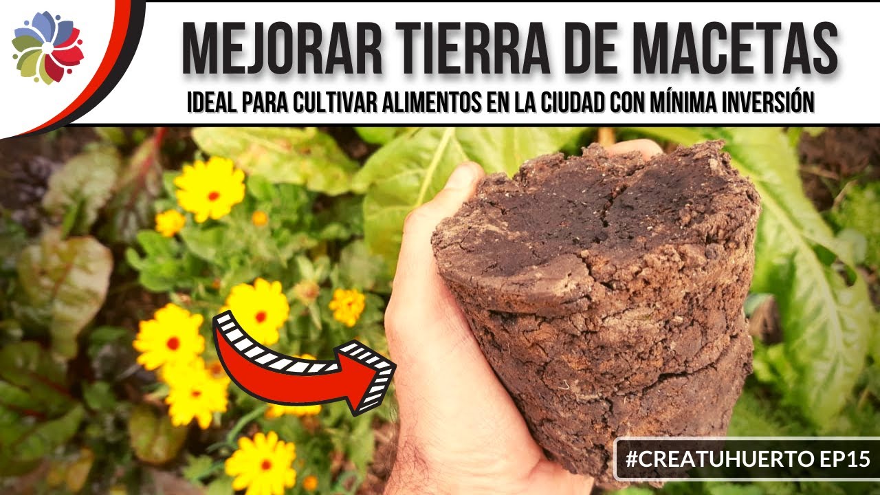 🌱 Cómo MEJORAR la TIERRA para tus CULTIVOS en MACETA con poco o nada de dinero #CreaTuHuerto Ep15