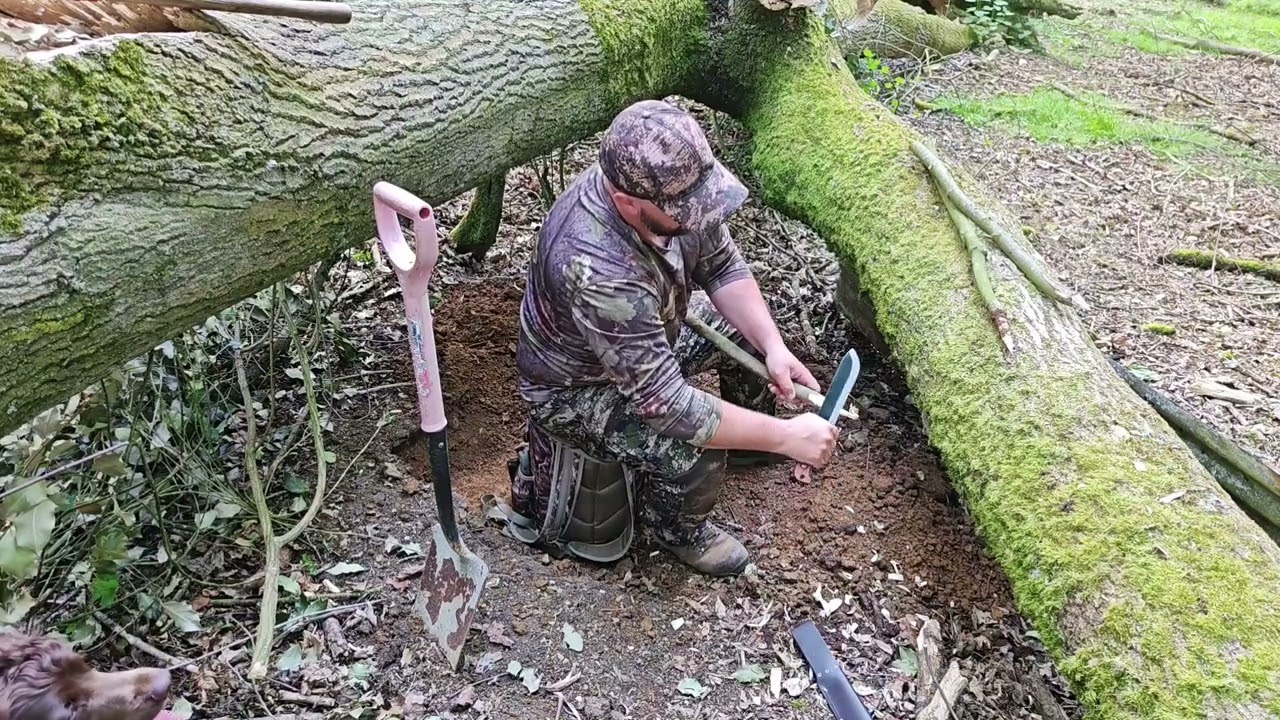 Hide build for squirrel shooting