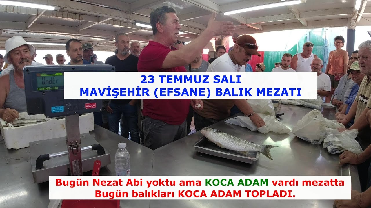 23 TEMMUZ SALI. BUGÜN MAVİŞEHİR BALIK MEZATINDA BALIKLARI KOCA ADAM TOPLADI.