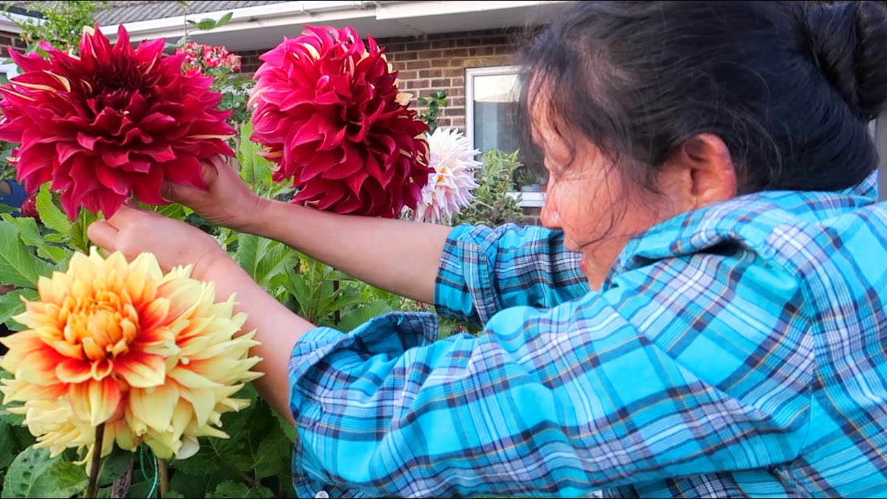 Mero aama ko fulbari | Garden Tour