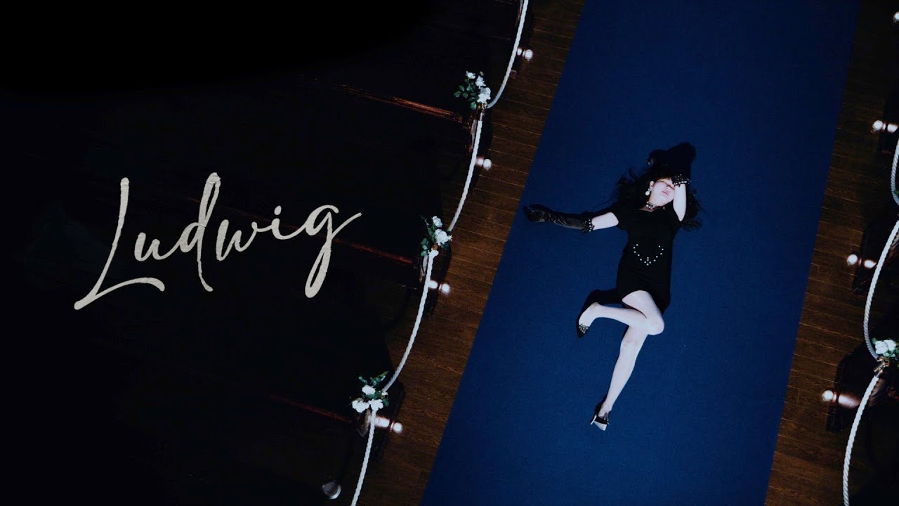 0.8秒と衝撃。『Ludwig』MV