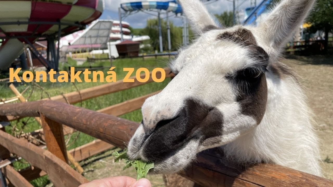 ZOO Kontakt Liptovsk&yacute; Mikul&aacute;&scaron;