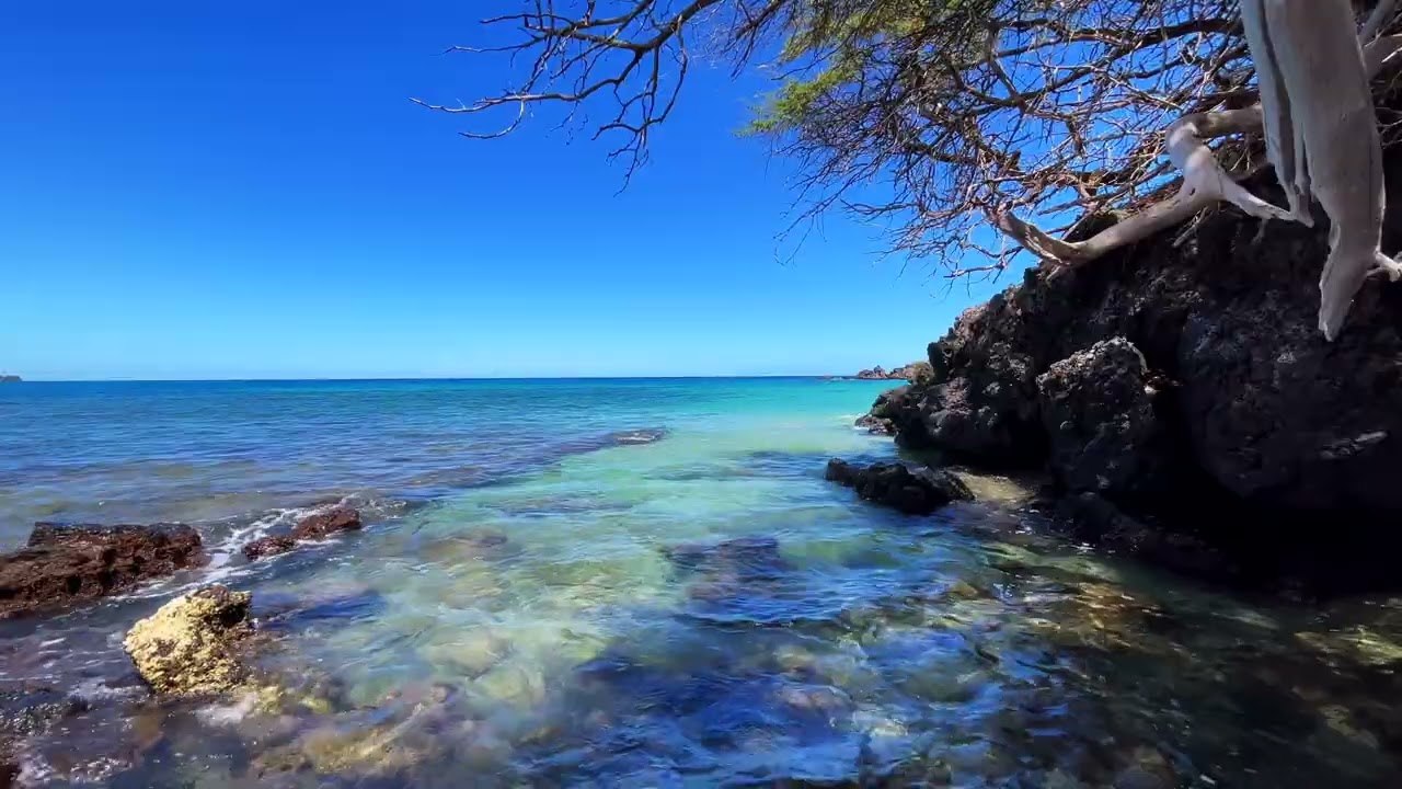 Near the Cove at Waialea Bay 1 of 2 - Island Horizon Videos 2070