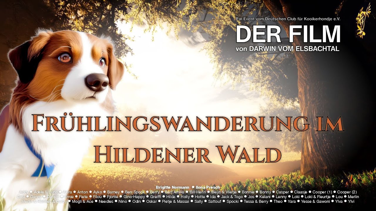 DCK Frühlingswanderung 2023 der BZG West im Hildener Wald mit 60 Kooikerhontje