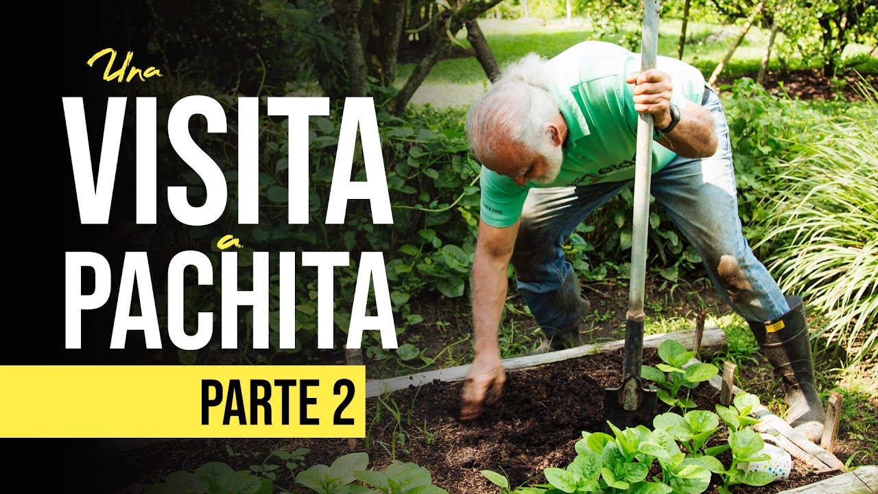 TE INVITAMOS A CONOCER NUESTRA FINCA 'PACHITA' 🐮🥬 (Parte 2) | Jairo Restrepo Rivera 🌿