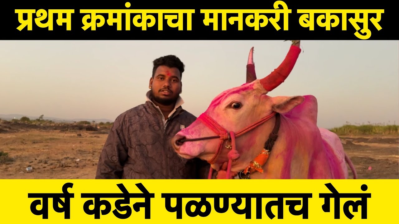 थोपटेवाडी मैदानाचा प्रथम क्रमांकाचा मानकरी बकासुर 