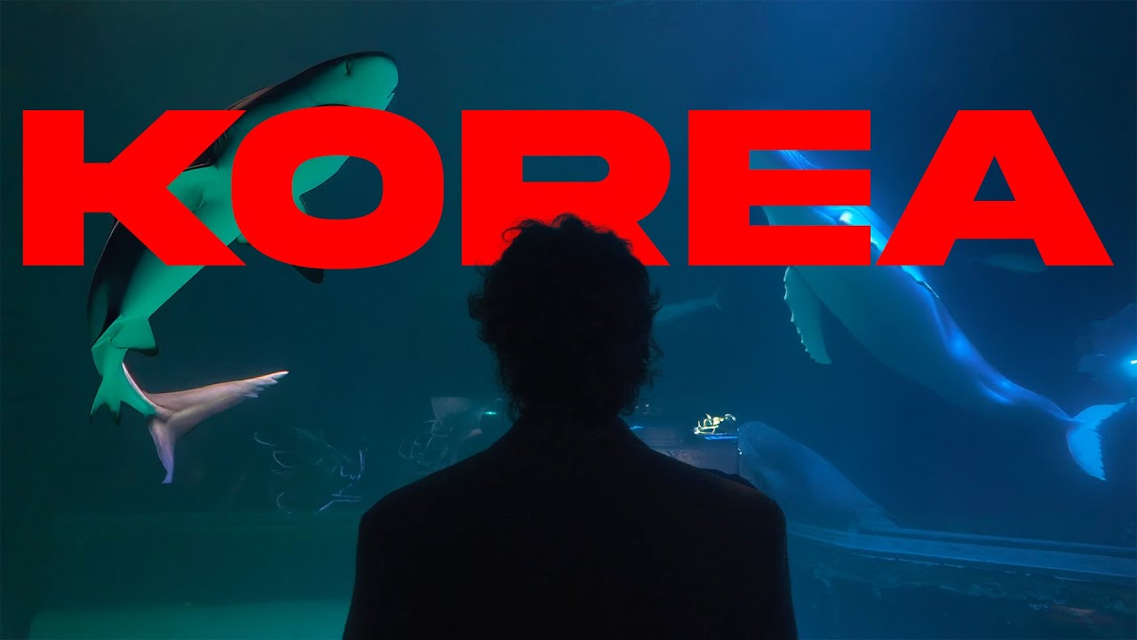 POV: Ostatni tydzień w Korei, no i STAN WOJENNY