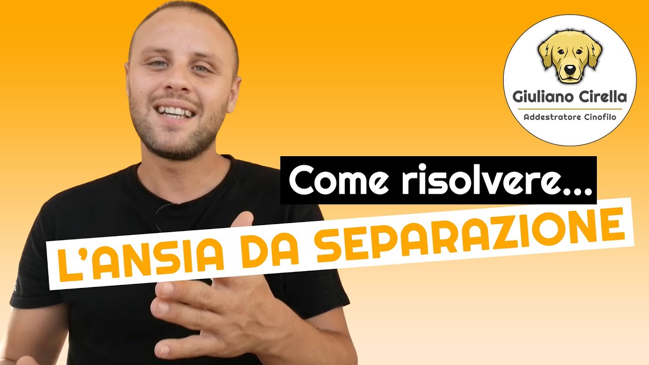 🐶 Ansia da Separazione del Cane: Come Risolverla | Giuliano Addestratore