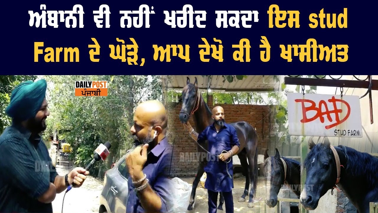 ਅੰਬਾਨੀ ਵੀ ਨਹੀਂ ਖਰੀਦ ਸਕਦਾ ਇਸ #StudFarm ਦੇ ਘੋੜੇ, ਆਪ ਦੇਖੋ ਕੀ ਹੈ ਖਾਸੀਅਤ