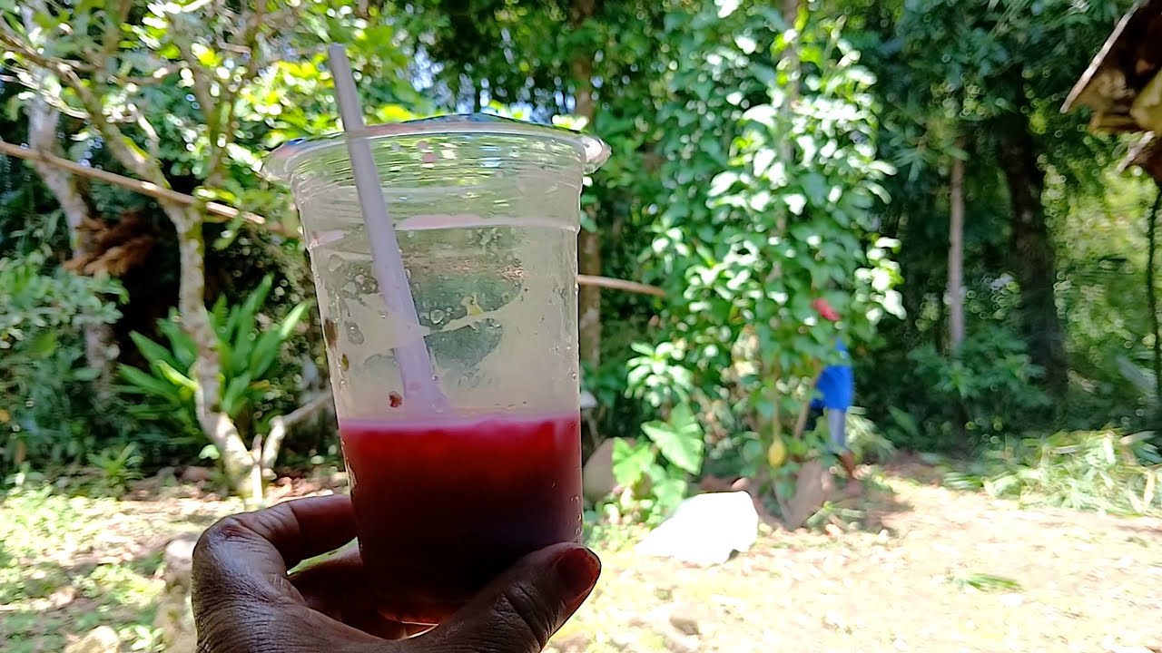 Beraktivitas di belakang rumah sambil nyeruput es doger cuaca panasnya cetar guys ♥️