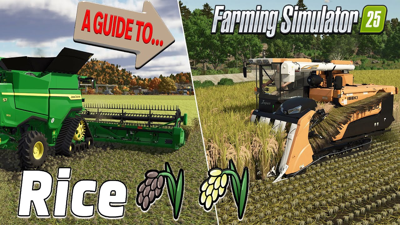 A COMPLETE GUIDE TO… RICE! (CONSOLE PERSPECTIVE!) ON FARMING SIMULATOR 25?!