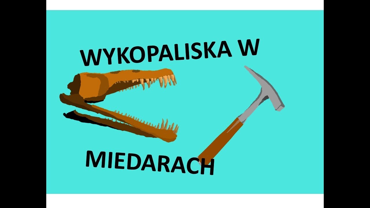 Jak wyglądają wykopaliska, czyli moja wizyta w Miedarach