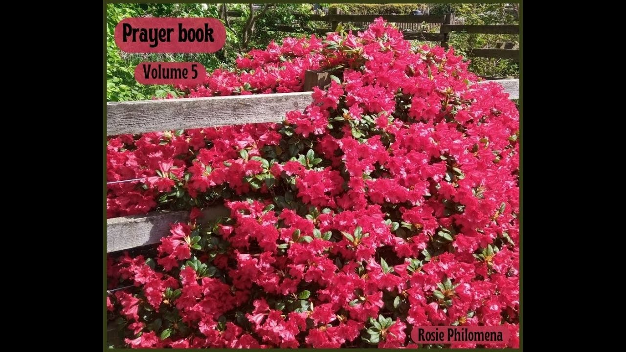 Prayer Book (Volume 5)