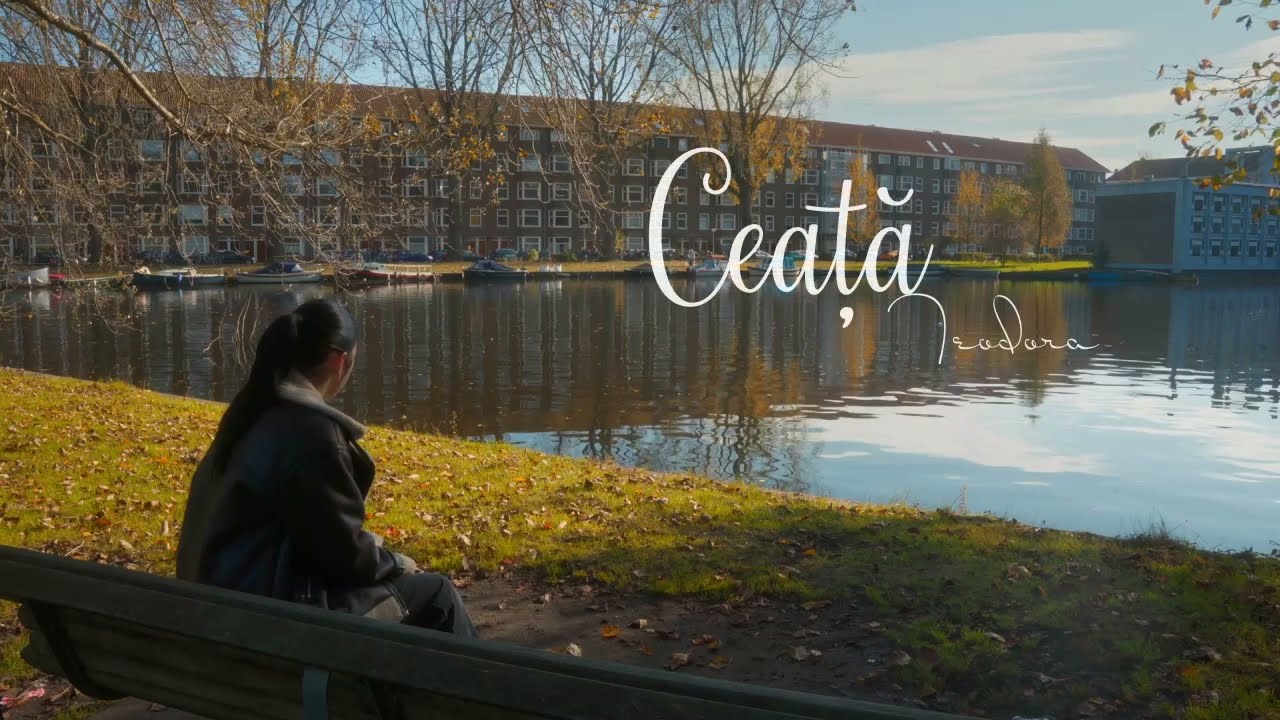 Teodora - Ceață | Official Lyric Video