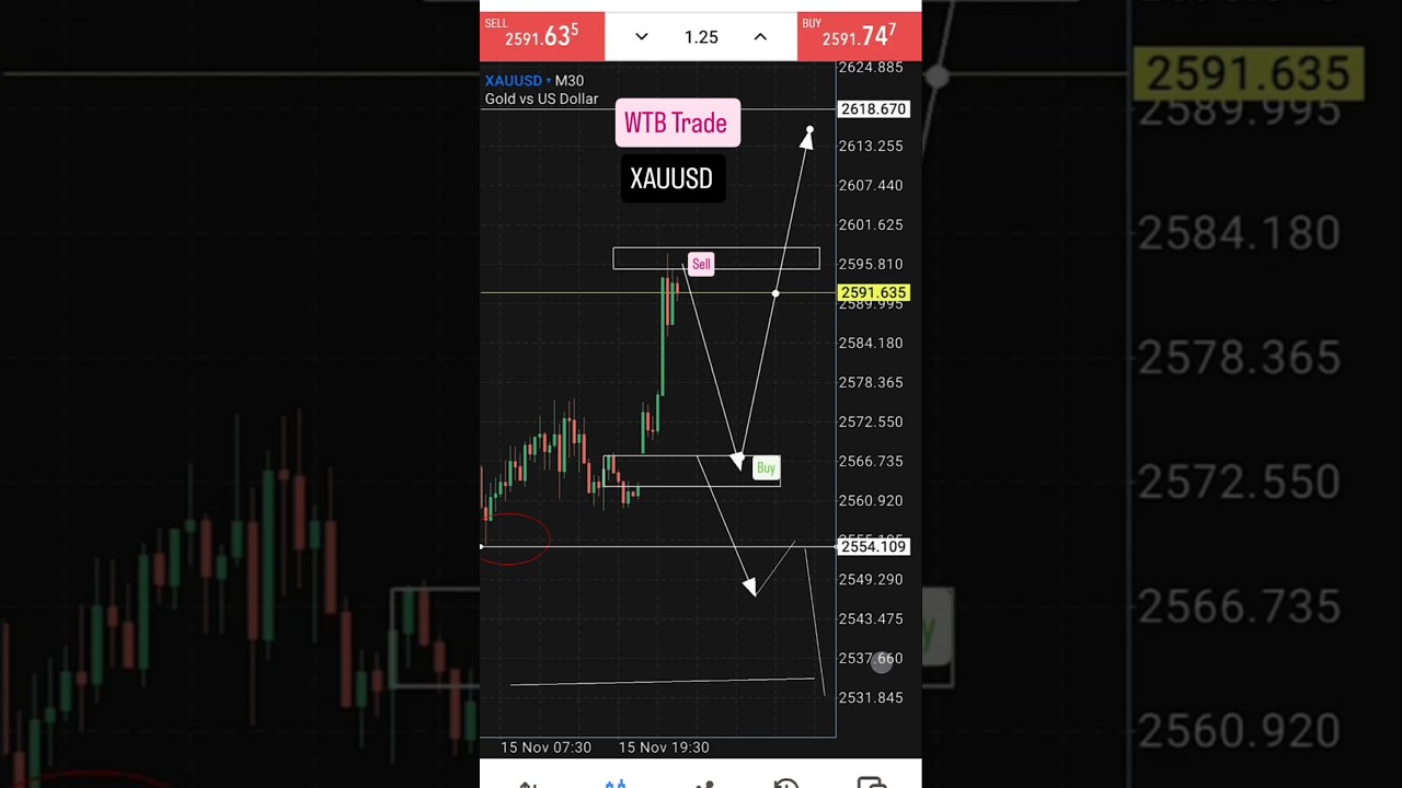 Gold XAUUSD move 18/11/24  💯 #wtb #gold #wtbtradeforex #xauusdtoday #analysis #move #trade #forex