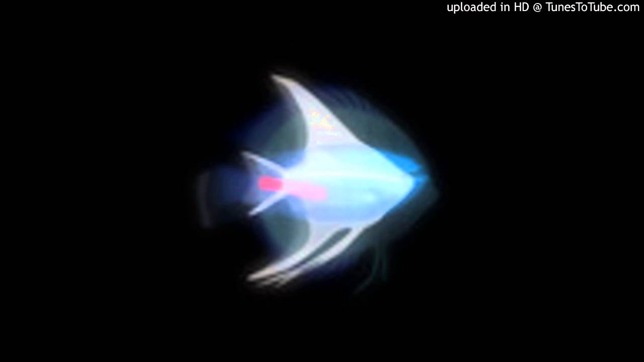 koronba - 0330